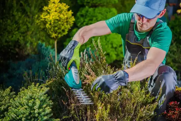 landscaping services Leslie